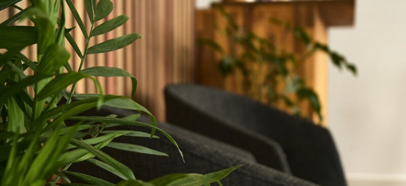 Newly renovated osteopathic clinic in Coburg with chairs and indoor plants.
